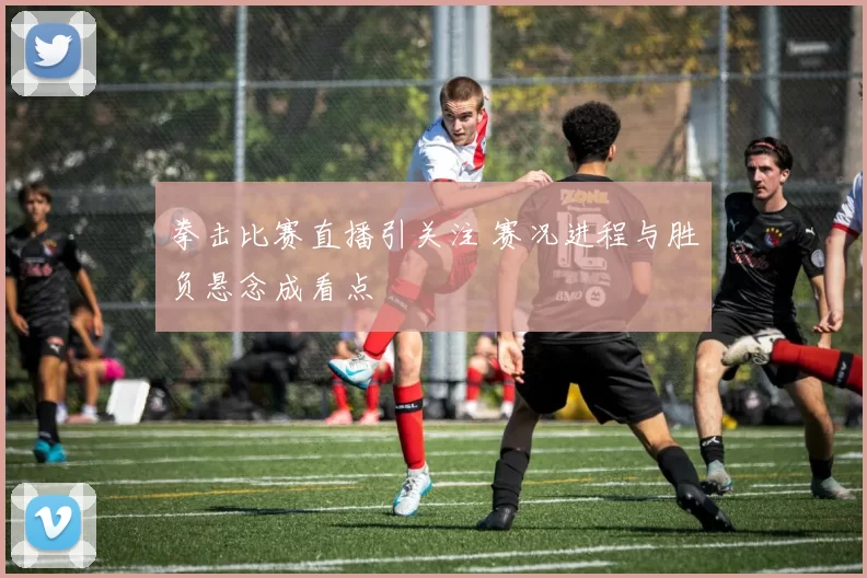 拳击比赛直播引关注 赛况进程与胜负悬念成看点