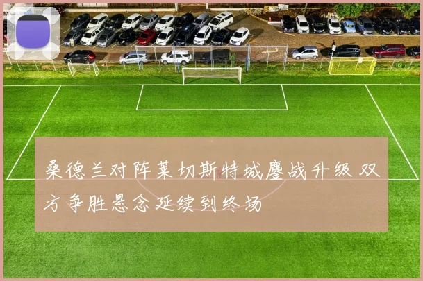 桑德兰对阵莱切斯特城鏖战升级 双方争胜悬念延续到终场