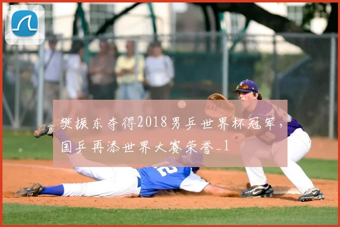 樊振东夺得2018男乒世界杯冠军,国乒再添世界大赛荣誉_1